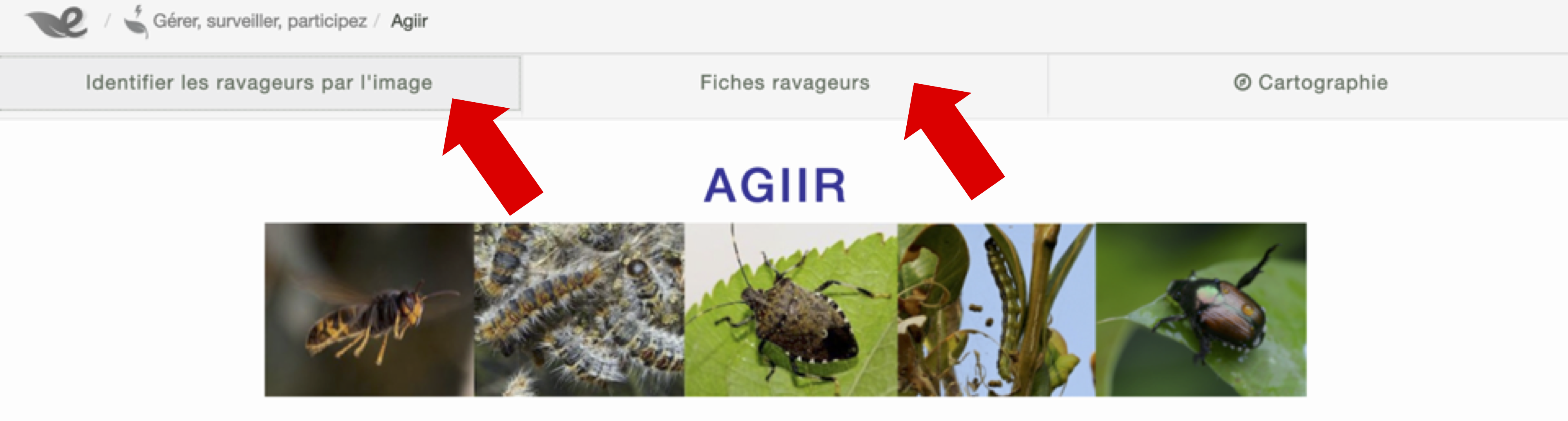 AGIIR AGIIR