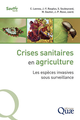titre alt